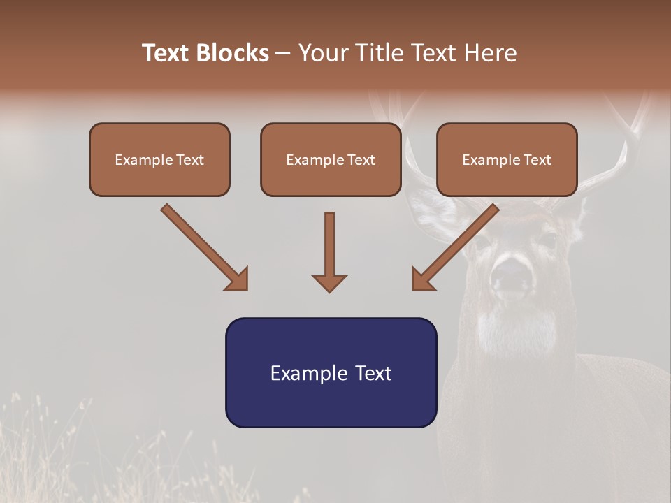 Wildlife Photography Mammal Wildlife PowerPoint Template