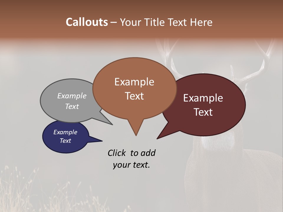 Wildlife Photography Mammal Wildlife PowerPoint Template