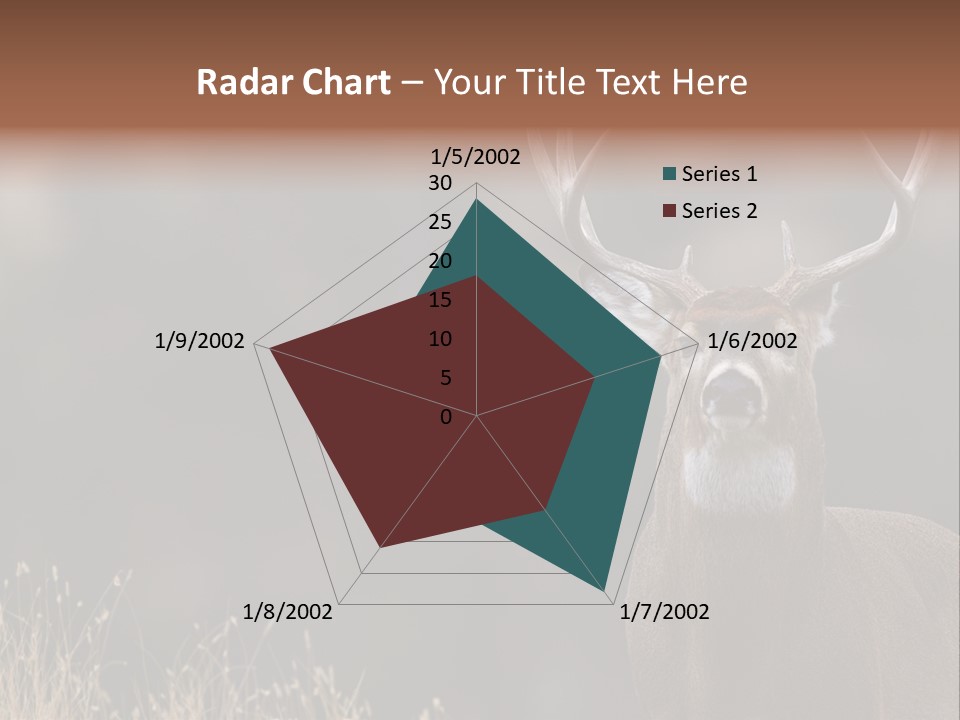 Wildlife Photography Mammal Wildlife PowerPoint Template