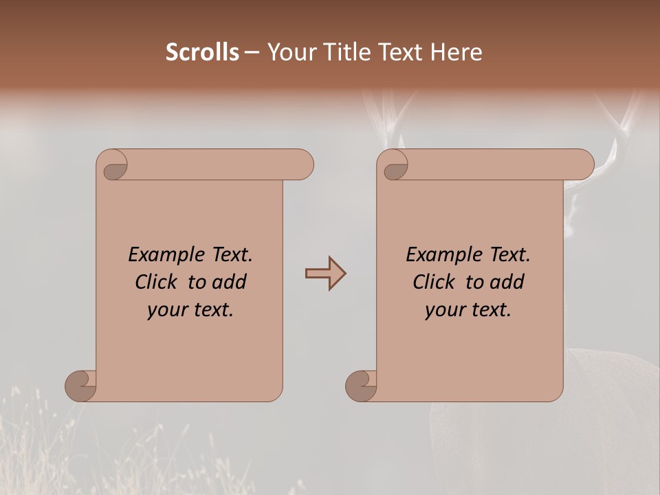 Wildlife Photography Mammal Wildlife PowerPoint Template