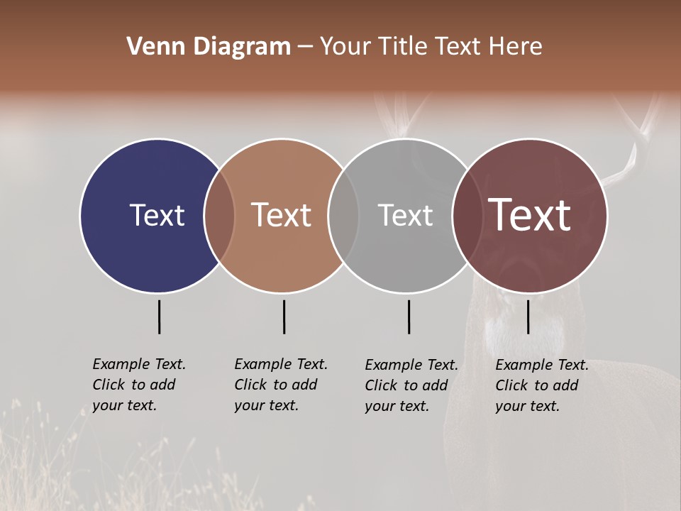 Wildlife Photography Mammal Wildlife PowerPoint Template