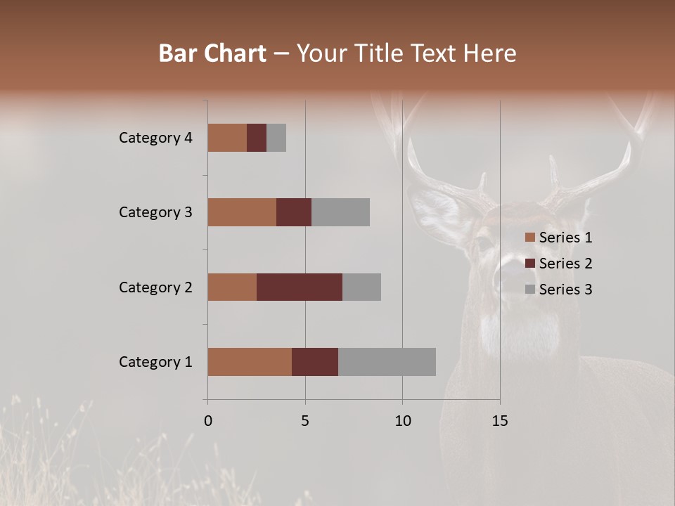 Wildlife Photography Mammal Wildlife PowerPoint Template