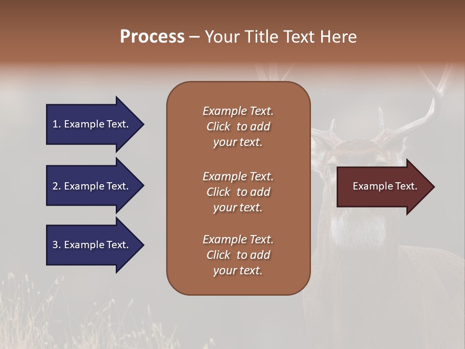 Wildlife Photography Mammal Wildlife PowerPoint Template