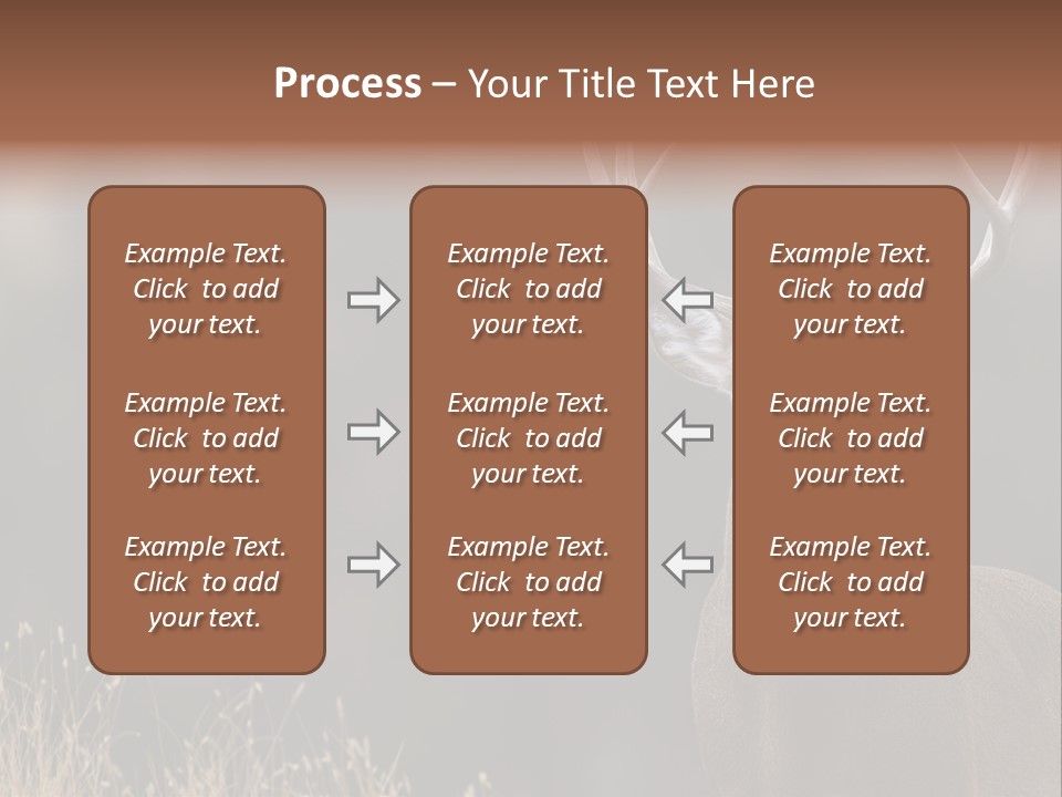 Wildlife Photography Mammal Wildlife PowerPoint Template