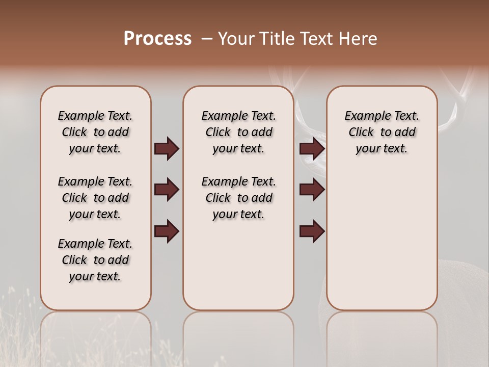 Wildlife Photography Mammal Wildlife PowerPoint Template