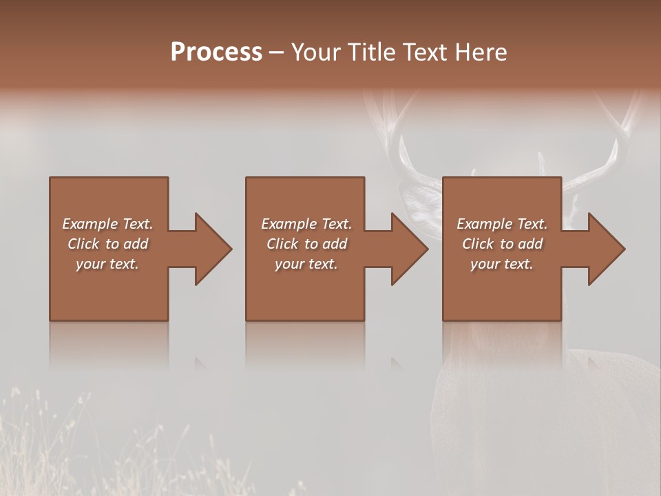 Wildlife Photography Mammal Wildlife PowerPoint Template