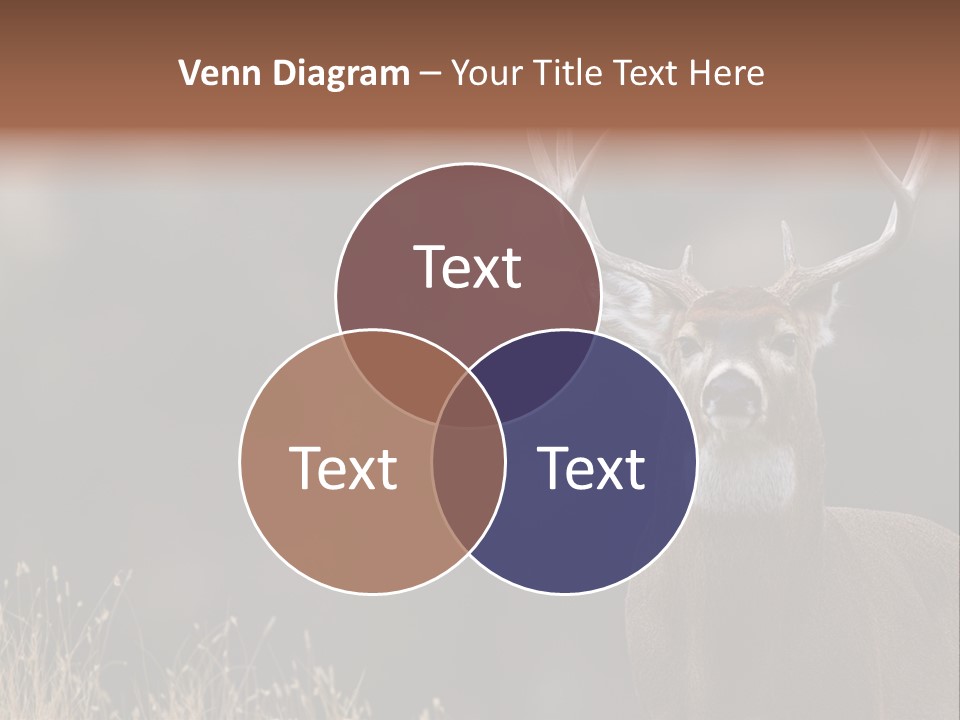 Wildlife Photography Mammal Wildlife PowerPoint Template