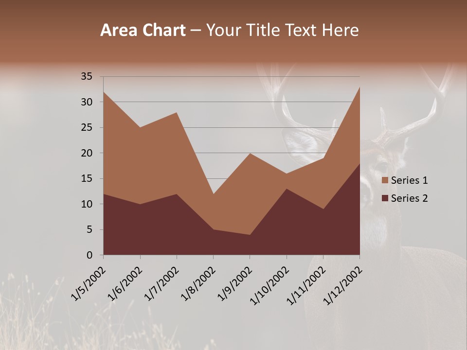 Wildlife Photography Mammal Wildlife PowerPoint Template