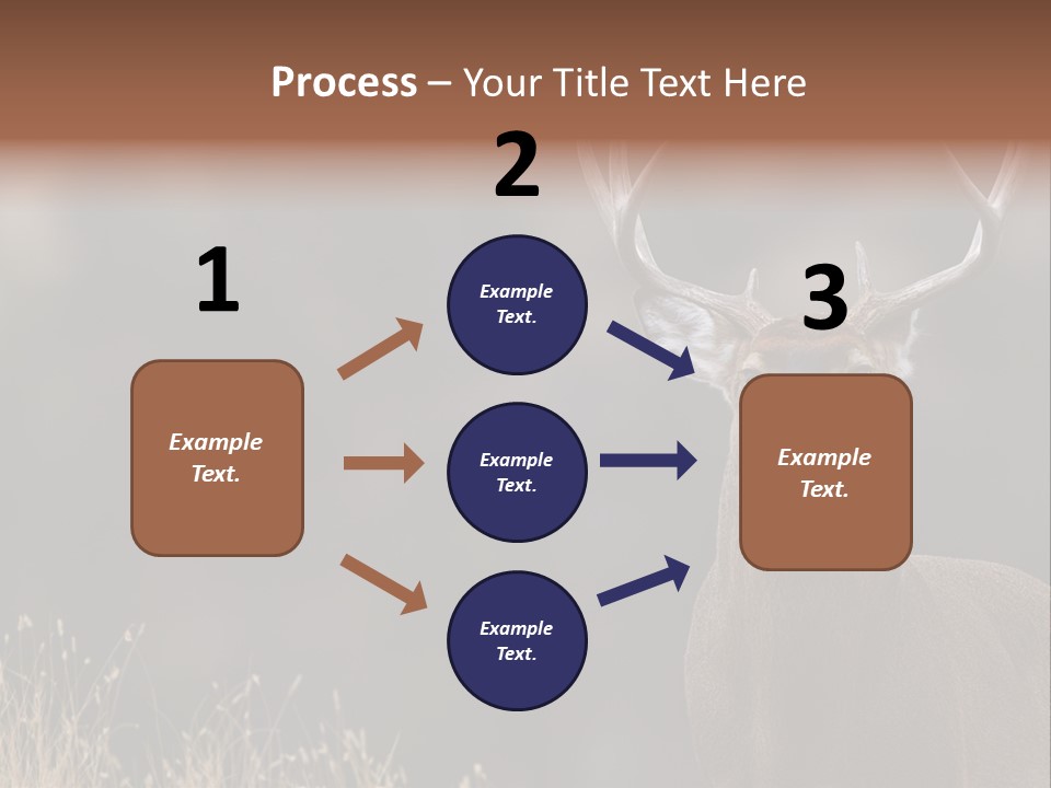 Wildlife Photography Mammal Wildlife PowerPoint Template