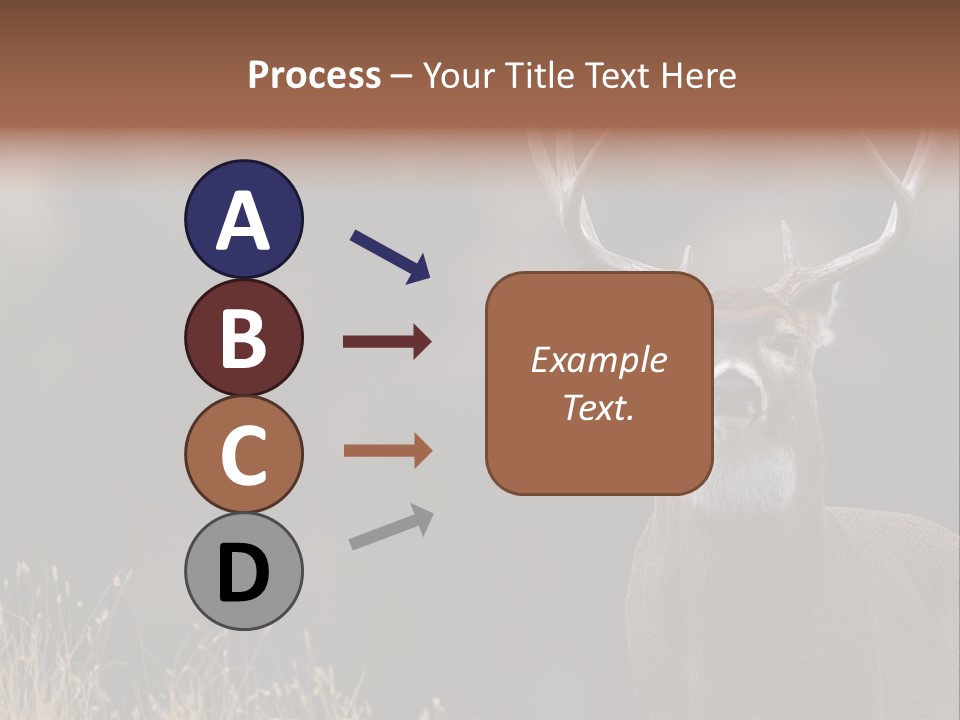 Wildlife Photography Mammal Wildlife PowerPoint Template