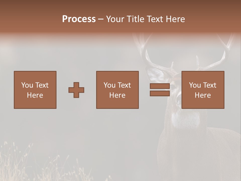 Wildlife Photography Mammal Wildlife PowerPoint Template