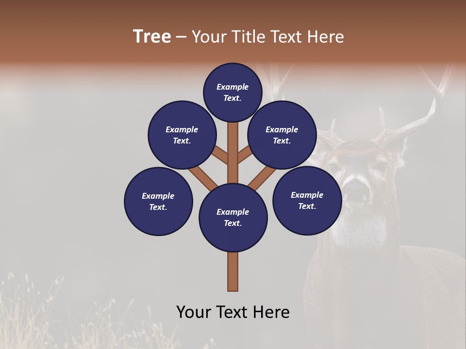 Wildlife Photography Mammal Wildlife PowerPoint Template