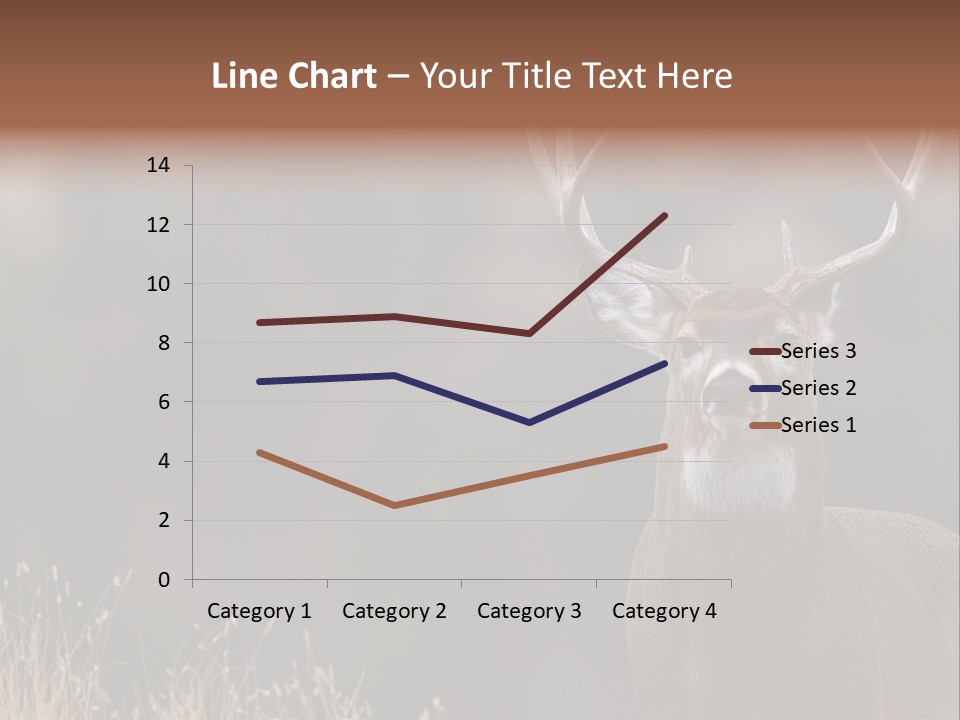 Wildlife Photography Mammal Wildlife PowerPoint Template