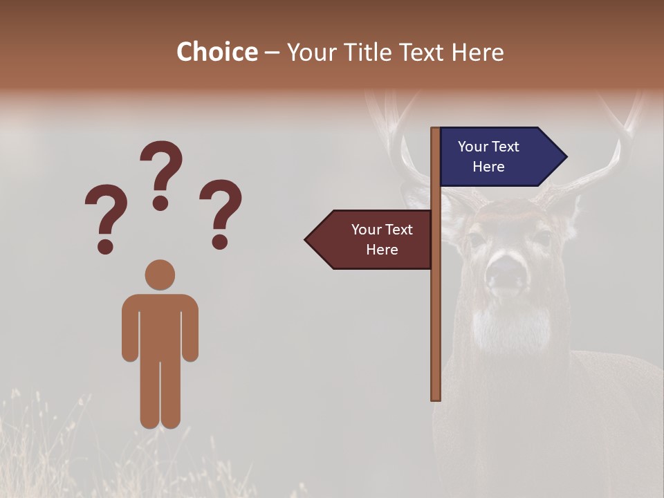 Wildlife Photography Mammal Wildlife PowerPoint Template