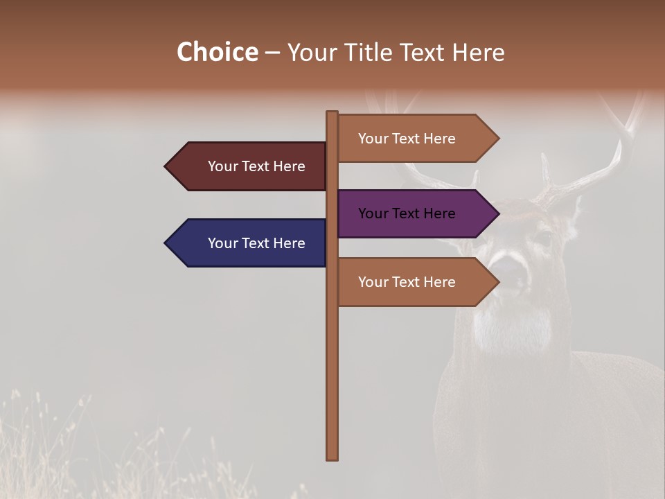 Wildlife Photography Mammal Wildlife PowerPoint Template