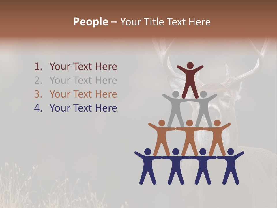 Wildlife Photography Mammal Wildlife PowerPoint Template