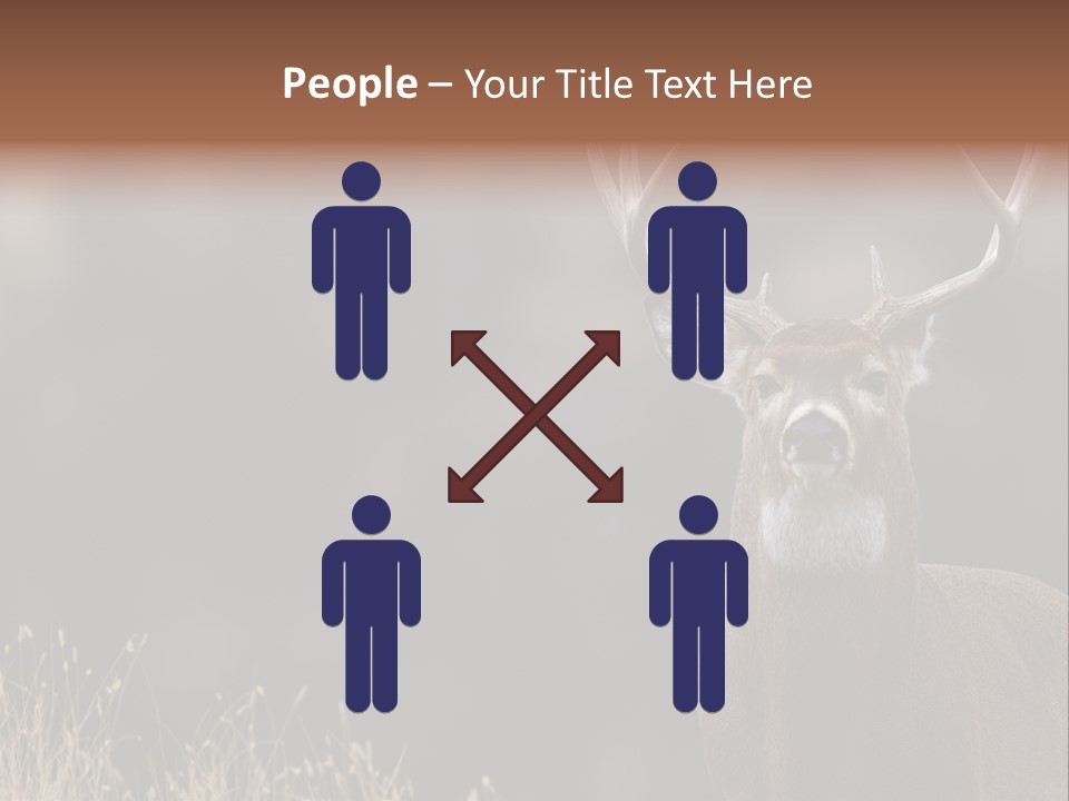 Wildlife Photography Mammal Wildlife PowerPoint Template