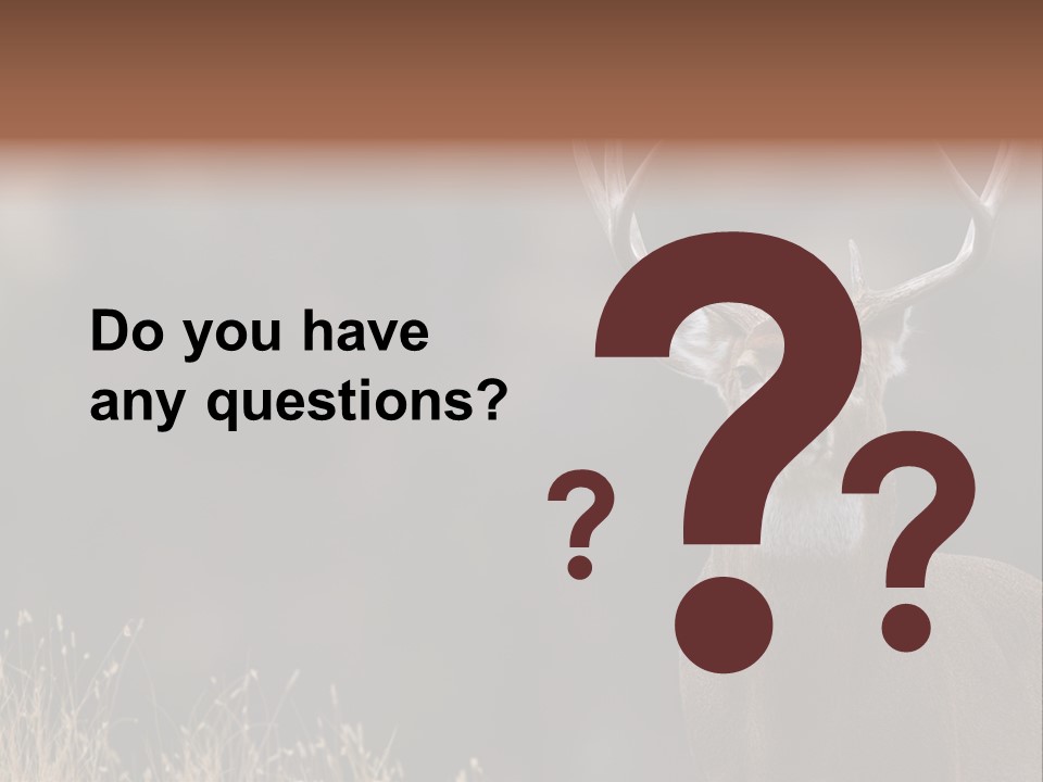 Wildlife Photography Mammal Wildlife PowerPoint Template