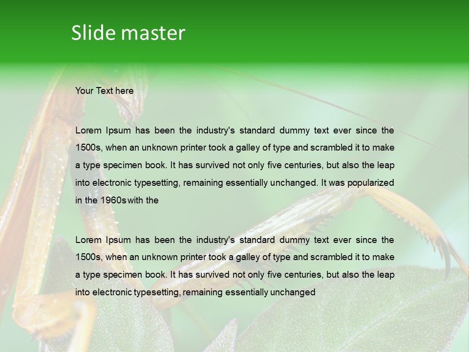 Close Wildlife Portrait PowerPoint Template