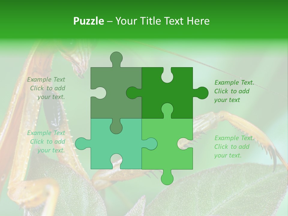 Close Wildlife Portrait PowerPoint Template