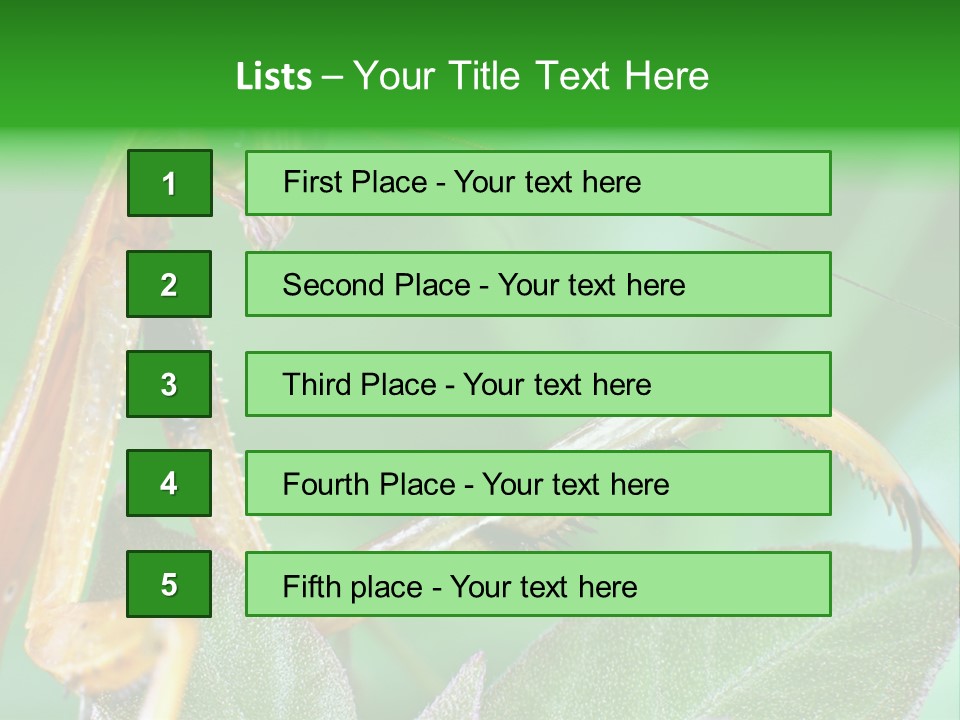 Close Wildlife Portrait PowerPoint Template