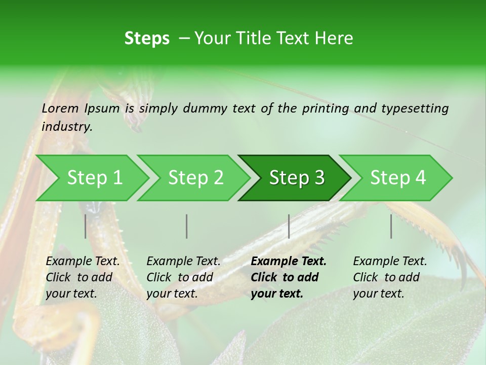 Close Wildlife Portrait PowerPoint Template
