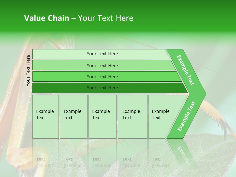 Close Wildlife Portrait PowerPoint Template