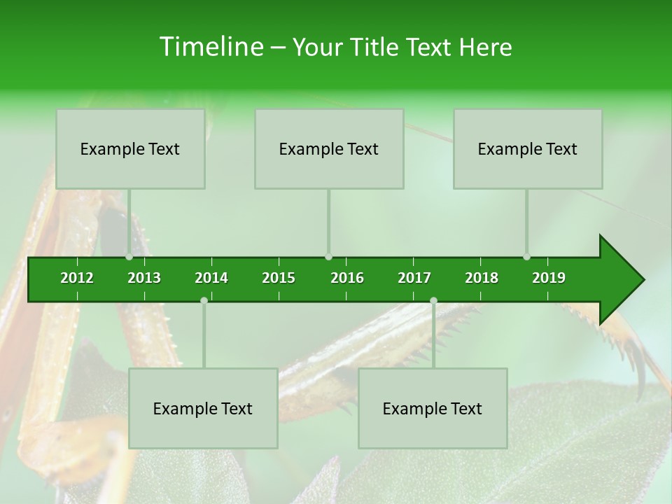 Close Wildlife Portrait PowerPoint Template