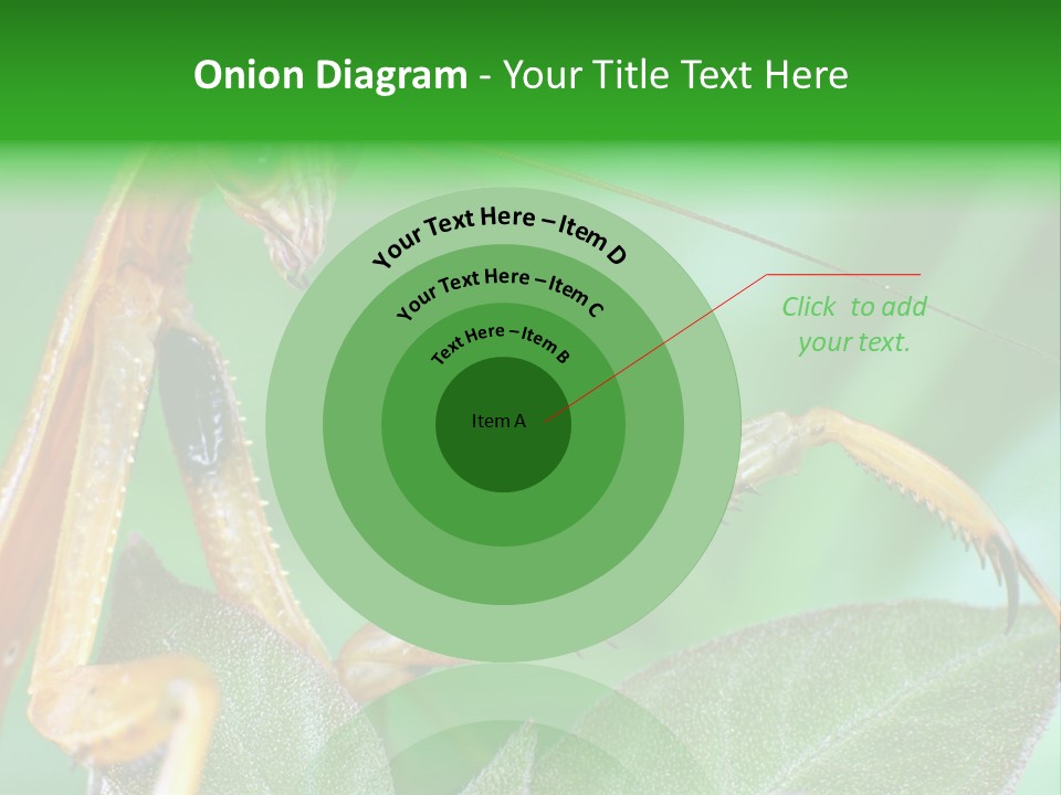 Close Wildlife Portrait PowerPoint Template