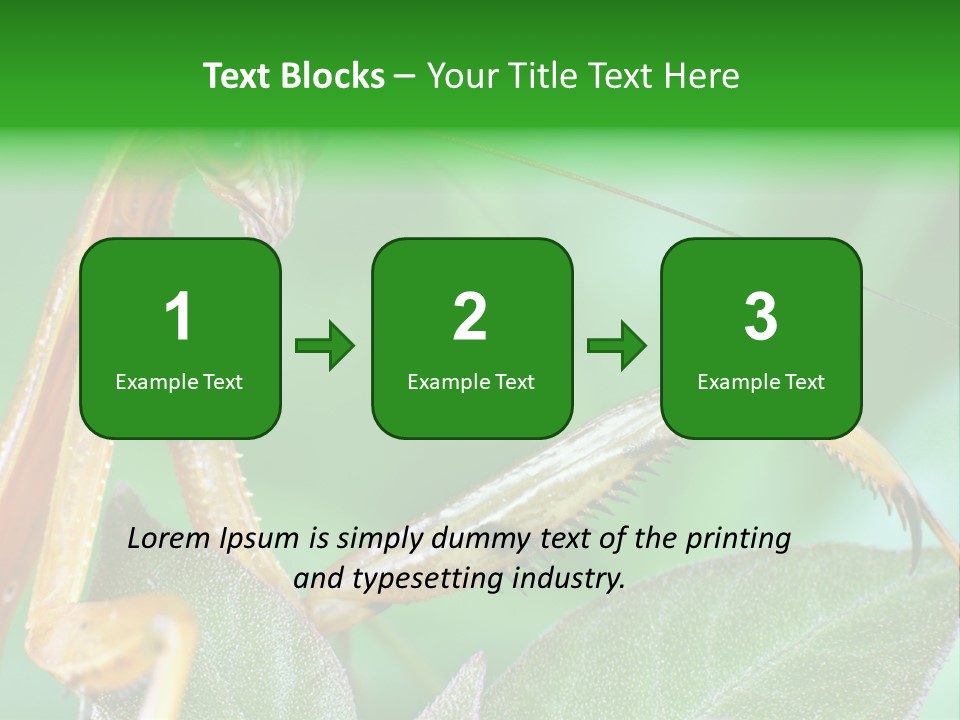 Close Wildlife Portrait PowerPoint Template