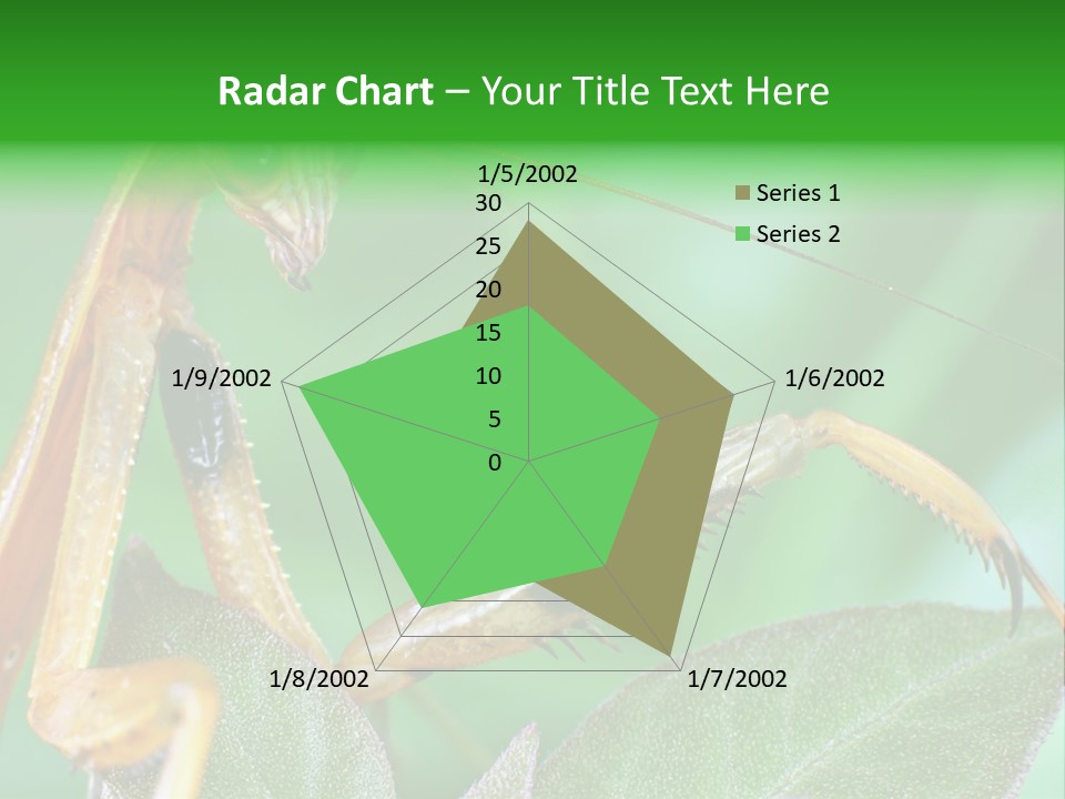 Close Wildlife Portrait PowerPoint Template