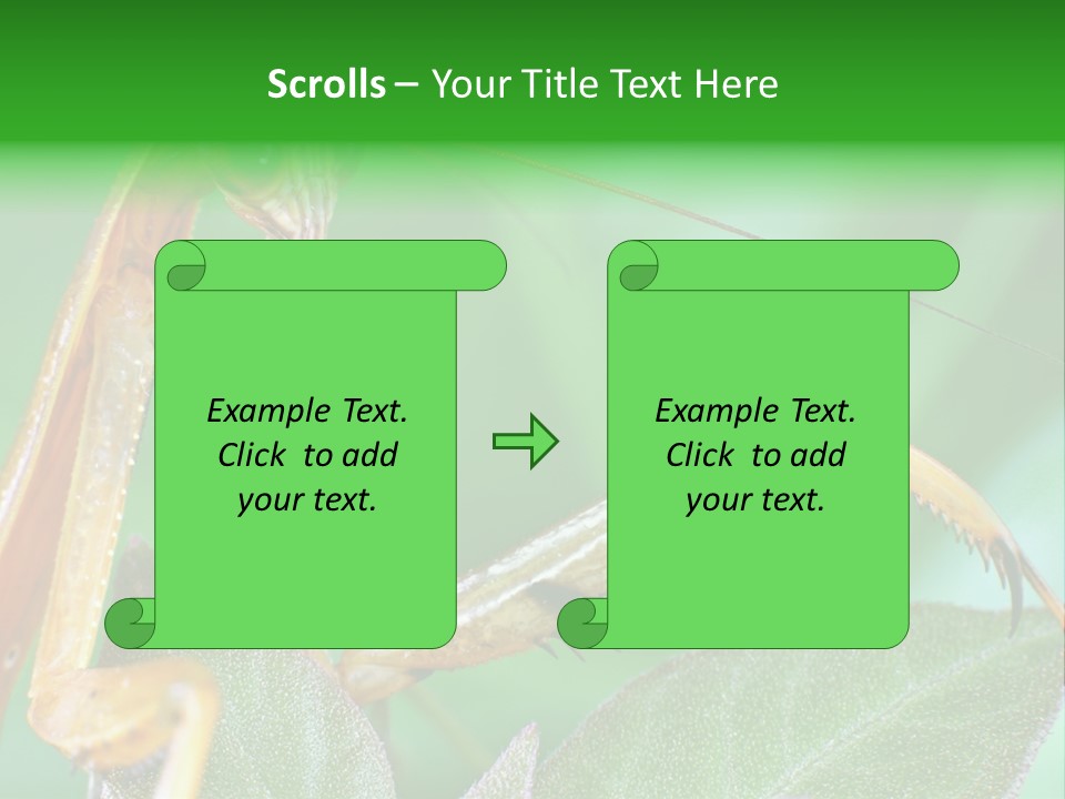 Close Wildlife Portrait PowerPoint Template