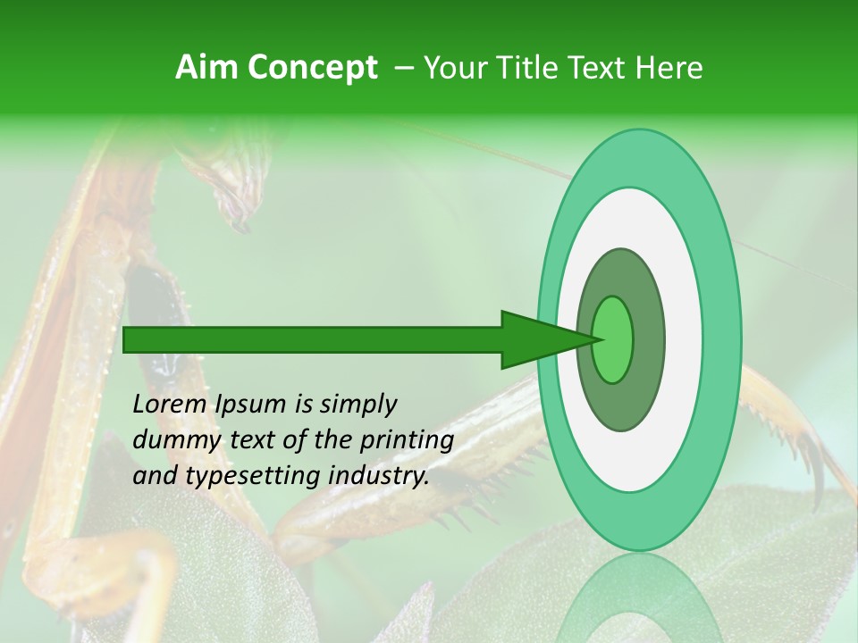 Close Wildlife Portrait PowerPoint Template