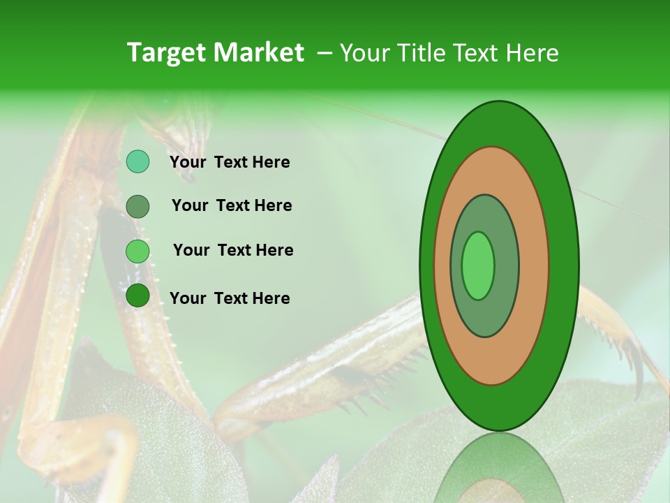 Close Wildlife Portrait PowerPoint Template