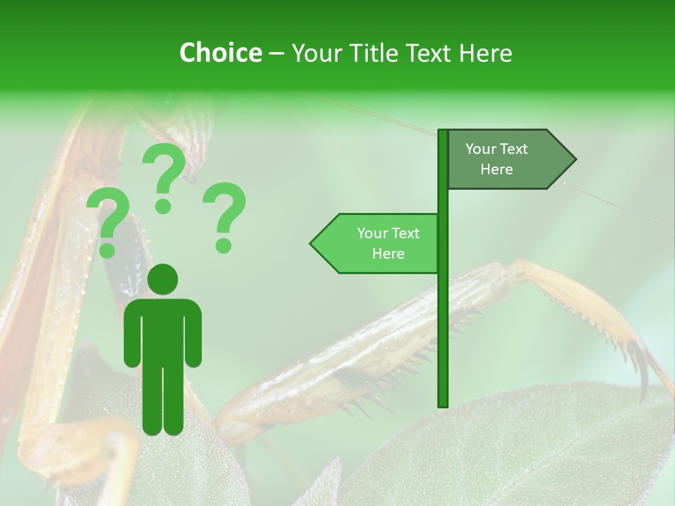 Close Wildlife Portrait PowerPoint Template