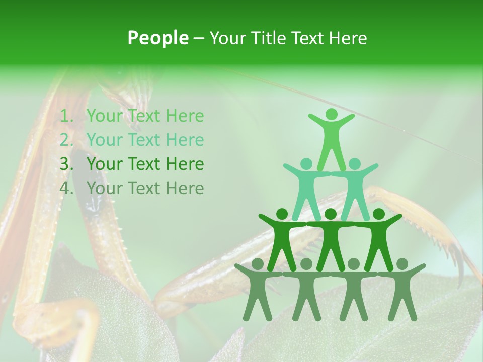 Close Wildlife Portrait PowerPoint Template