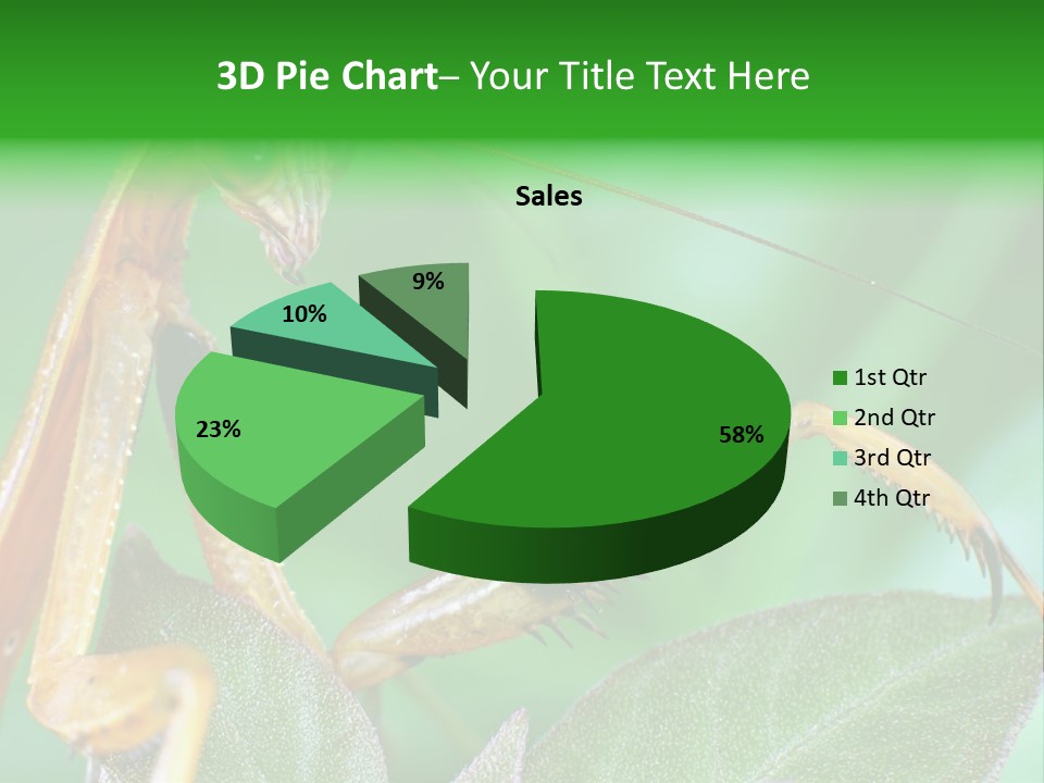 Close Wildlife Portrait PowerPoint Template