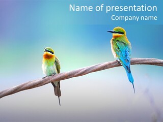 Head Green Branch PowerPoint Template