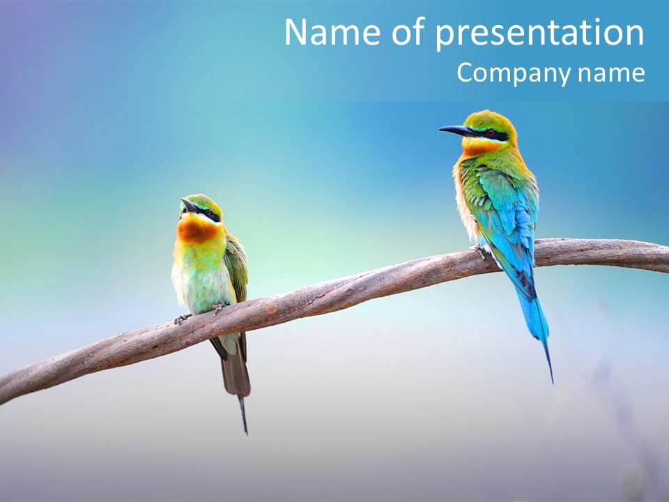 Head Green Branch PowerPoint Template