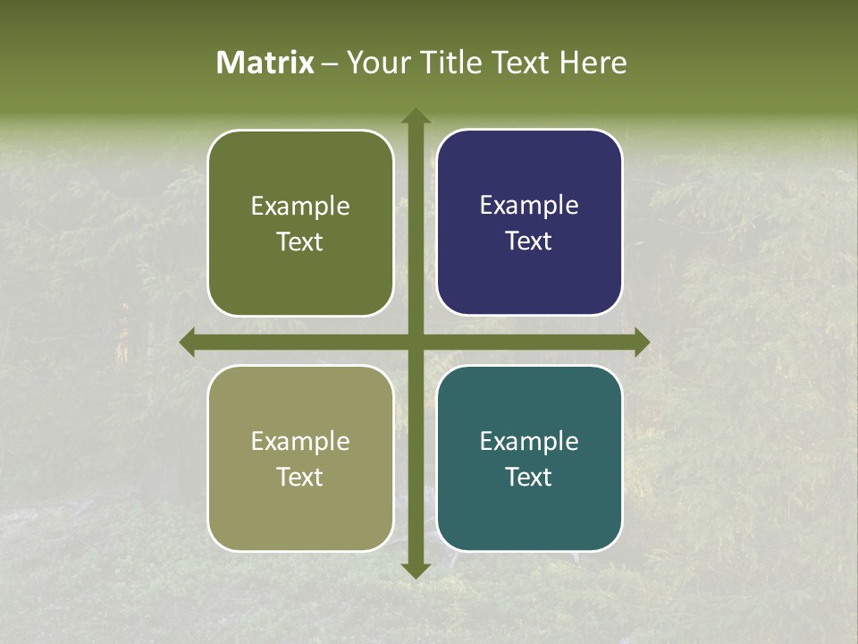 Wilderness Coniferous Vegetation PowerPoint Template