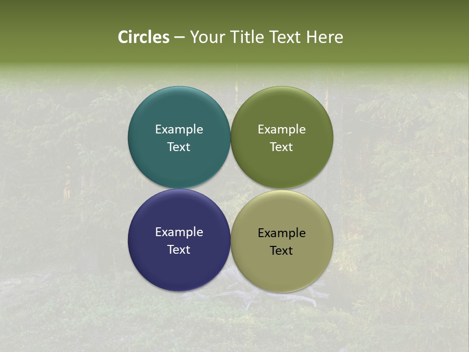 Wilderness Coniferous Vegetation PowerPoint Template