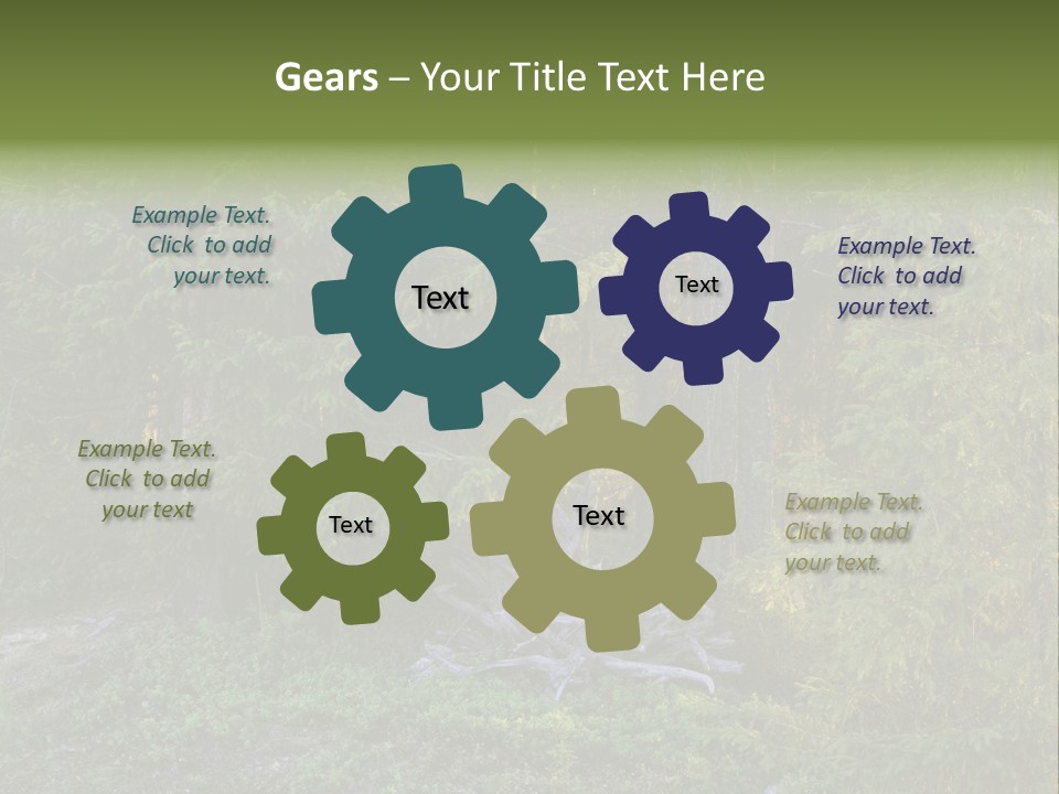 Wilderness Coniferous Vegetation PowerPoint Template