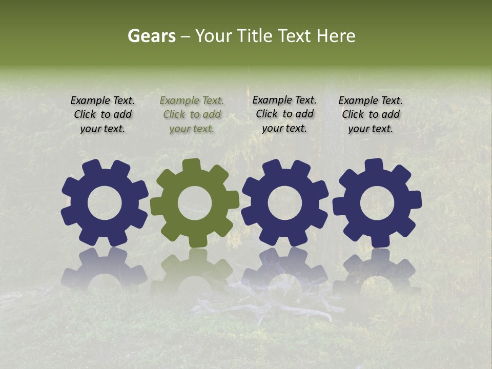 Wilderness Coniferous Vegetation PowerPoint Template