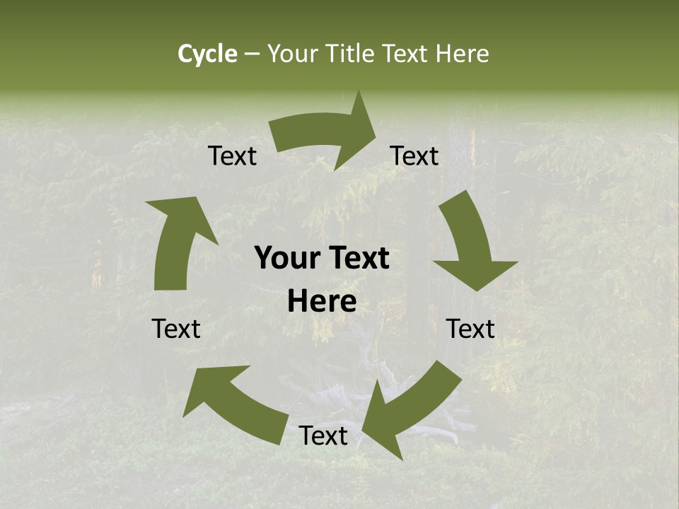 Wilderness Coniferous Vegetation PowerPoint Template