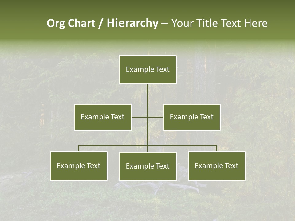 Wilderness Coniferous Vegetation PowerPoint Template