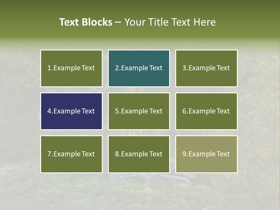 Wilderness Coniferous Vegetation PowerPoint Template