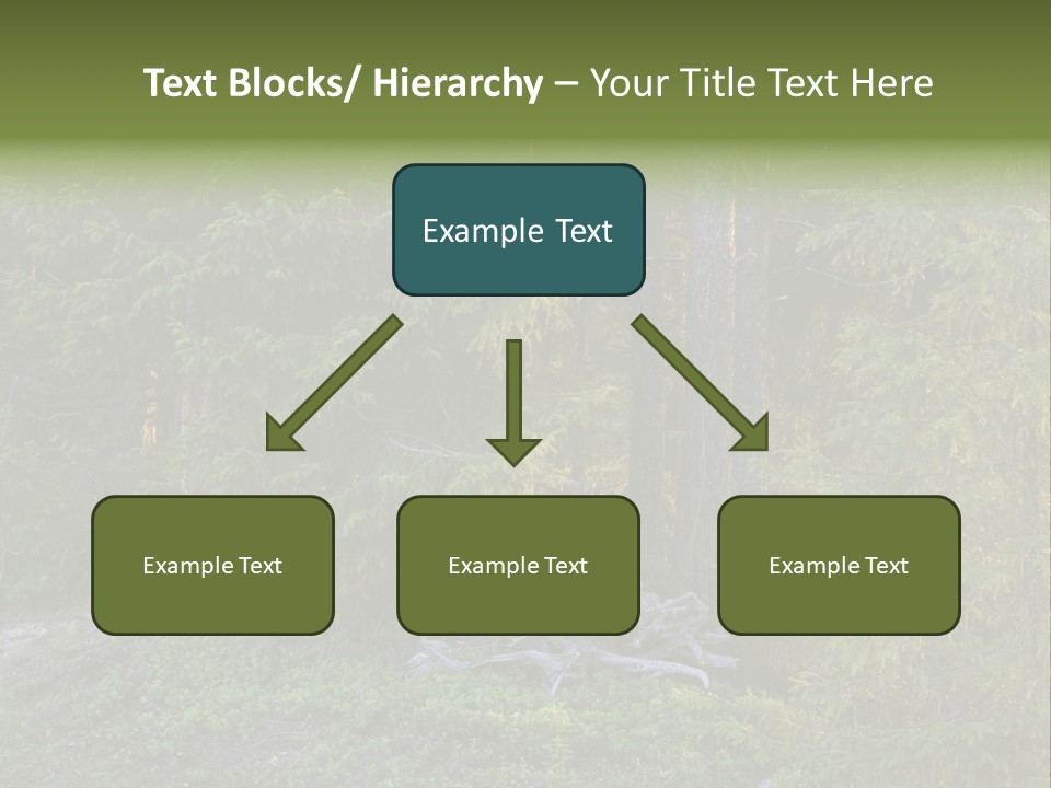 Wilderness Coniferous Vegetation PowerPoint Template
