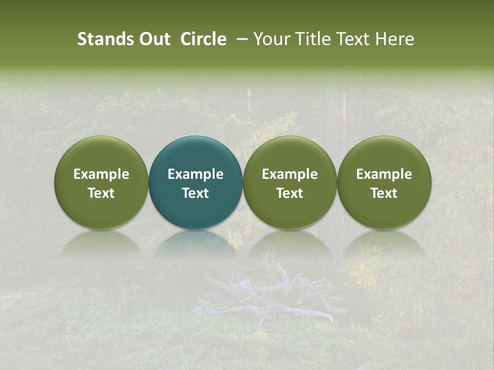 Wilderness Coniferous Vegetation PowerPoint Template