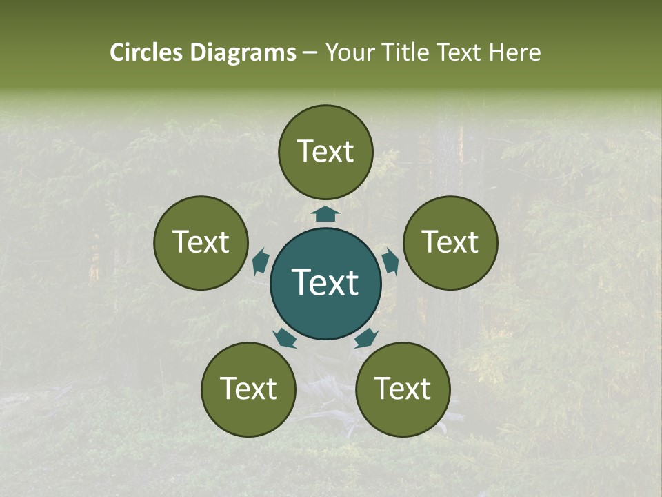 Wilderness Coniferous Vegetation PowerPoint Template