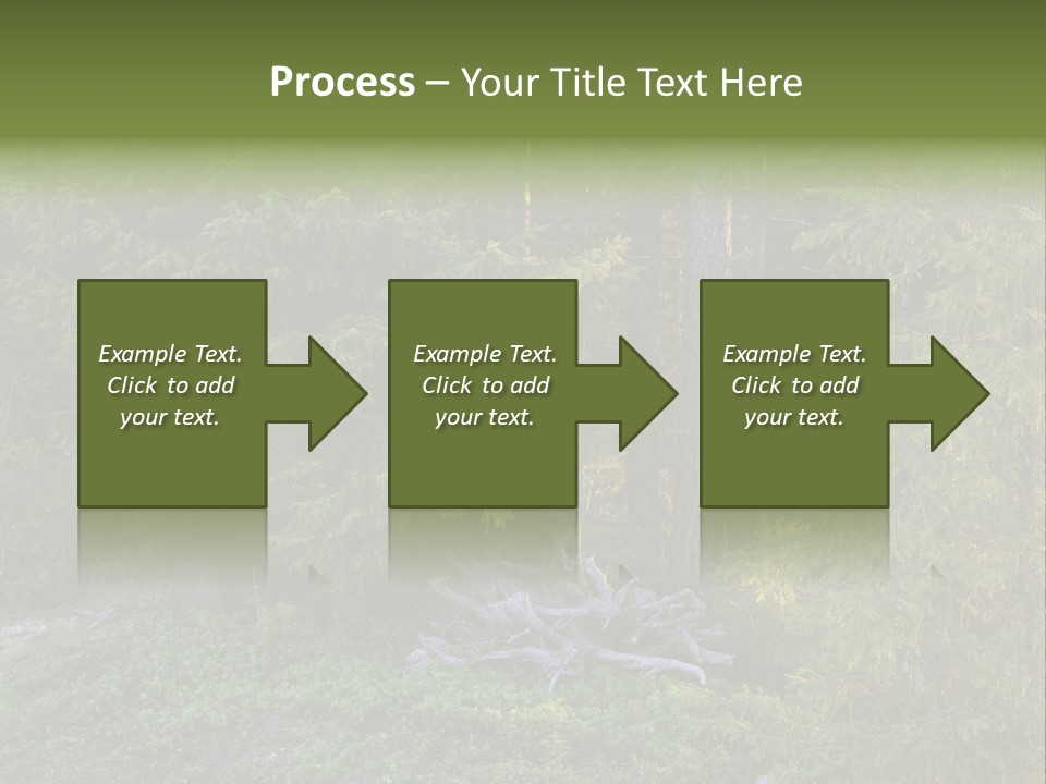 Wilderness Coniferous Vegetation PowerPoint Template